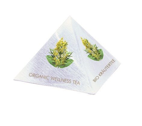 Bio Wellness Tea Tipi - Kräutertee